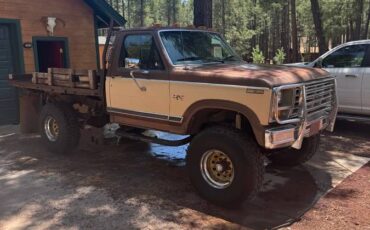 Ford-f-250-diesel-1983-brown-10