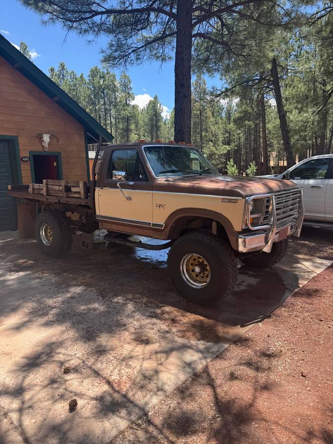 Ford-f-250-diesel-1983-brown-10