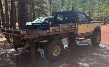 Ford-f-250-diesel-1983-brown-11