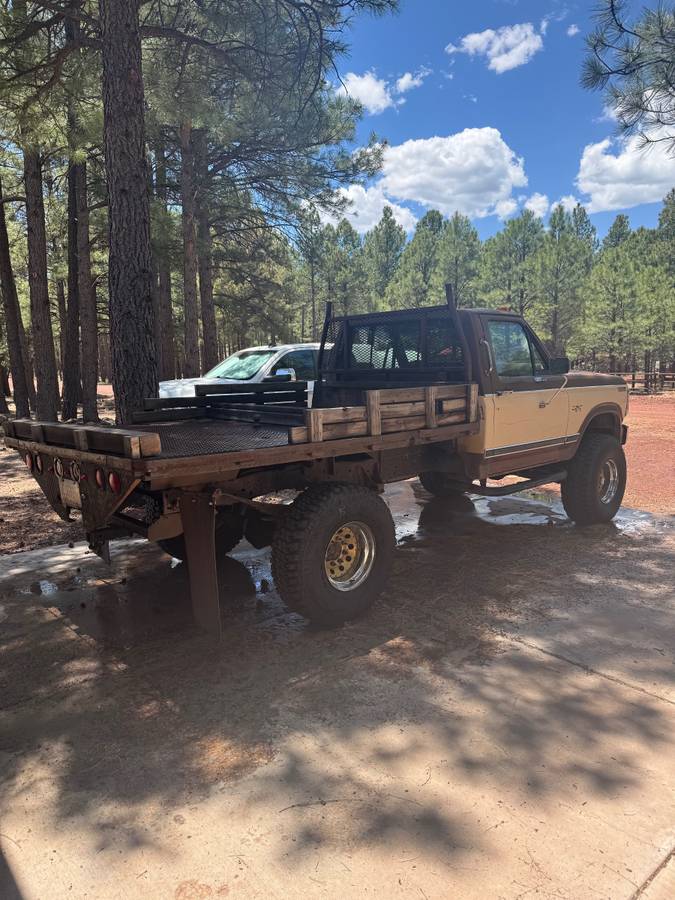 Ford-f-250-diesel-1983-brown-11