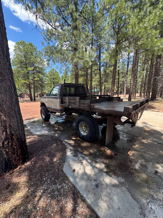 Ford-f-250-diesel-1983-brown-12