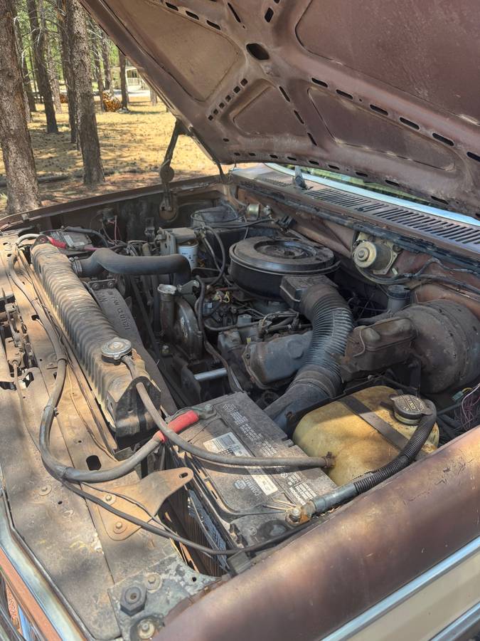 Ford-f-250-diesel-1983-brown-15