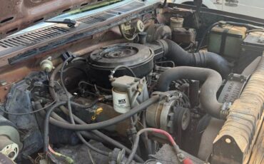Ford-f-250-diesel-1983-brown-2