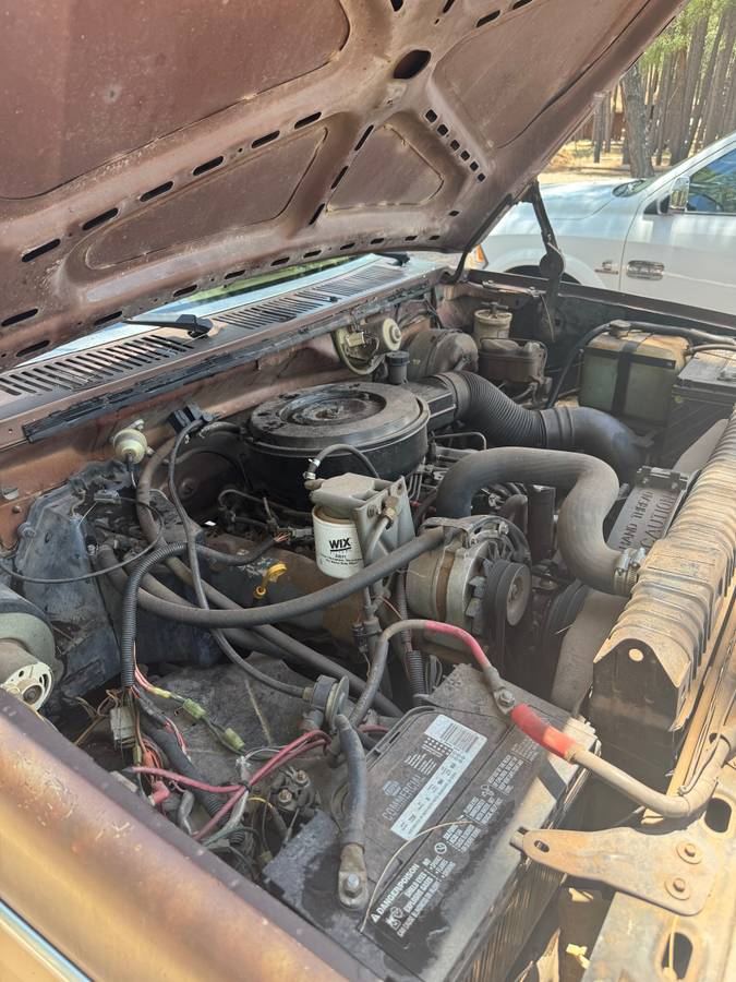 Ford-f-250-diesel-1983-brown-2