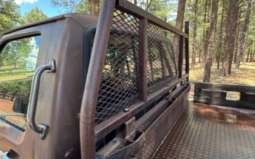 Ford-f-250-diesel-1983-brown-3