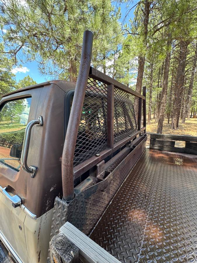Ford-f-250-diesel-1983-brown-3