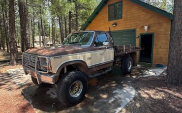 Ford-f-250-diesel-1983-brown