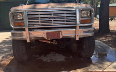 Ford-f-250-diesel-1983-brown-4