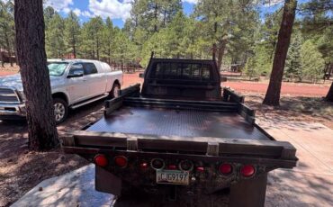 Ford-f-250-diesel-1983-brown-5