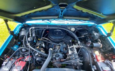 Ford-f-250-diesel-1984-blue-37