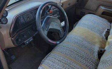Ford-f-250-diesel-1989-brown-13