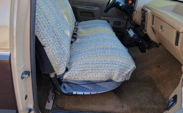Ford-f-250-diesel-1989-brown-17