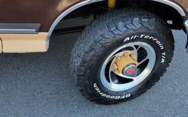 Ford-f-250-diesel-1989-brown-20