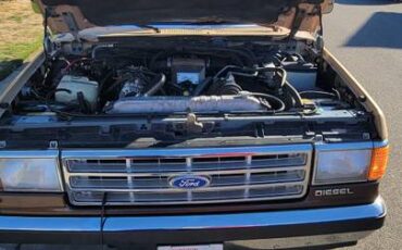 Ford-f-250-diesel-1989-brown-22