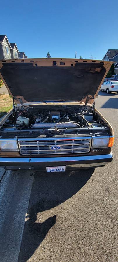 Ford-f-250-diesel-1989-brown-22