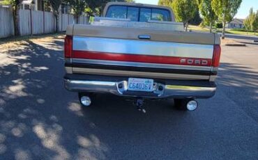 Ford-f-250-diesel-1989-brown-3