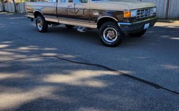 Ford-f-250-diesel-1989-brown
