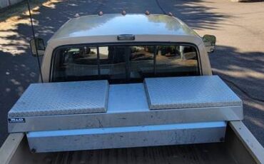 Ford-f-250-diesel-1989-brown-5