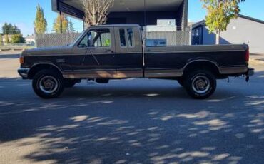 Ford-f-250-diesel-1989-brown-7