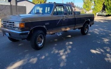 Ford-f-250-diesel-1989-brown-8