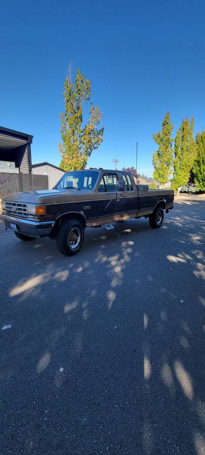 Ford-f-250-diesel-1989-brown-8