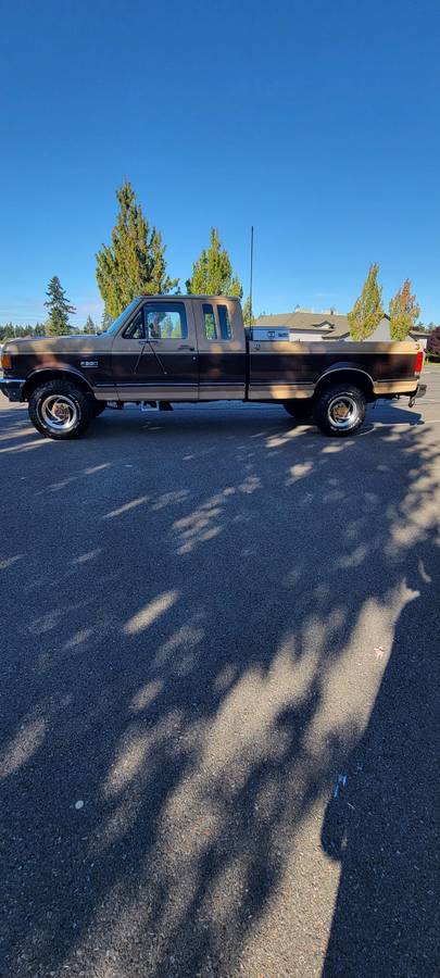 Ford-f-250-diesel-1989-brown-9