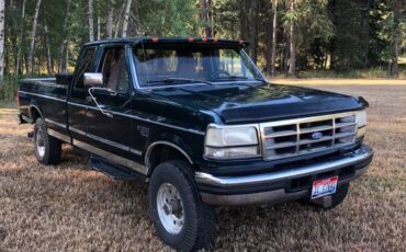 Ford-f-250-diesel-1995-8