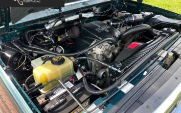 Ford-f-250-xltstandard-cab-lb-diesel-1995-19