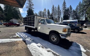 Ford-f-super-duty-1989-1