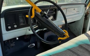 Ford-f100-1976-2