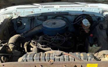 Ford-f100-1976-6