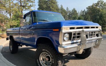 Ford-f100-1976-blue-1