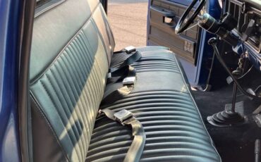 Ford-f100-1976-blue-13