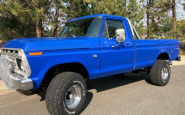 Ford-f100-1976-blue