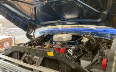 Ford-f100-1976-blue-8