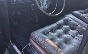 Ford-f100-1977-black-7