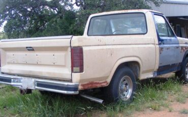 Ford-f100-1981-2