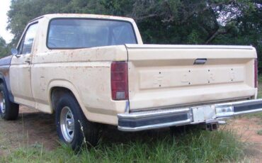 Ford-f100-1981-3