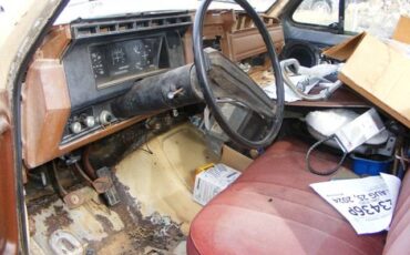 Ford-f100-1981-6