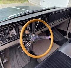 Ford-f100-custom-1974-green-13