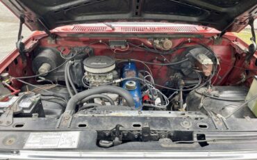 Ford-f100-custom-1981-11