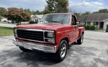 Ford-f100-custom-1981-7