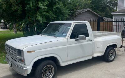 Ford f100 custom 1981