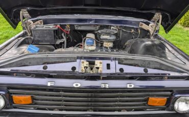 Ford-f100-pickup-1963-purple-6