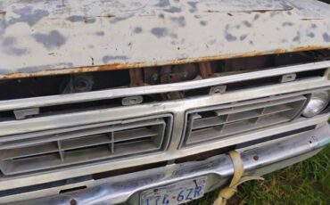 Ford-f100-pickup-1976-4