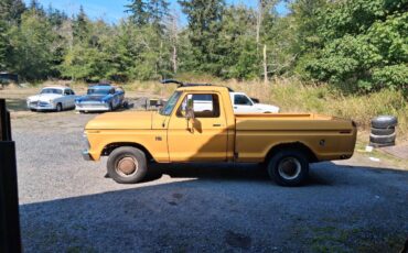 Ford-f100-pickup-1976-yellow-2