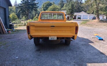 Ford-f100-pickup-1976-yellow-3