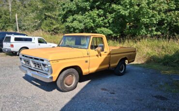 Ford-f100-pickup-1976-yellow