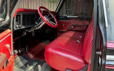 Ford-f100-pickup-1977-black-12