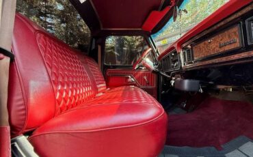 Ford-f100-pickup-1977-black-14